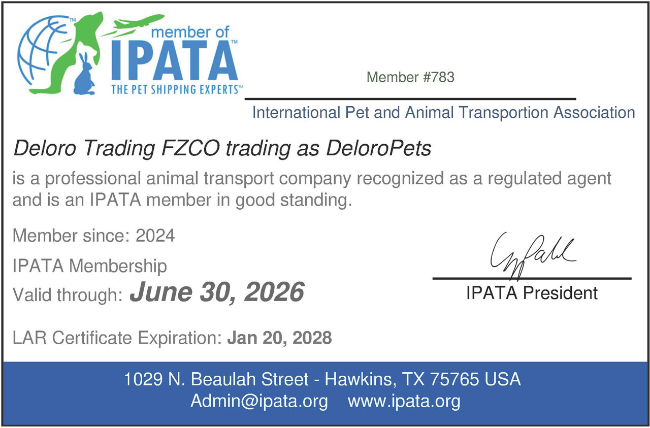 ipata